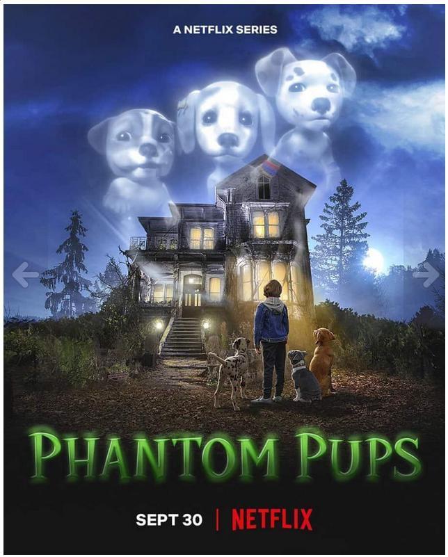 Cachorros Fantasmas - T1 C10 ES EN